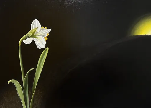 Дорога к свету